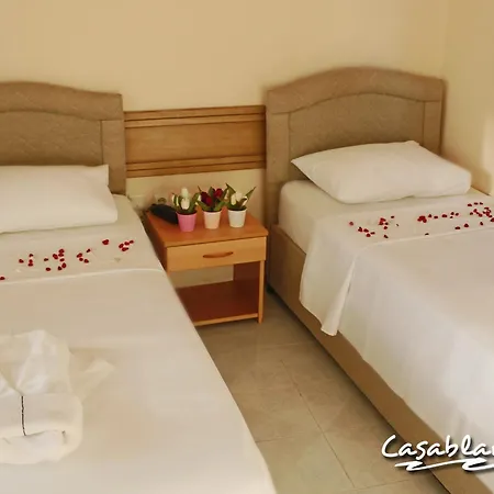 酒店 卡萨布兰卡酒店