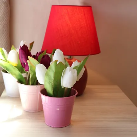 מלון Casablanca 3*